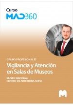 Curso MAD360 Vigilancia y Atención en Salas de Museos