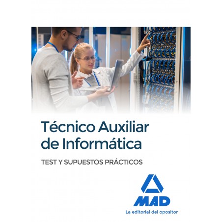 Técnicos auxiliares de informática