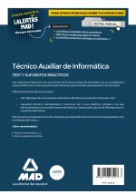 Técnicos auxiliares de informática