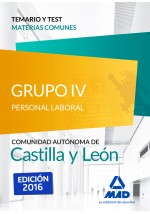 Personal Laboral (Grupo IV)