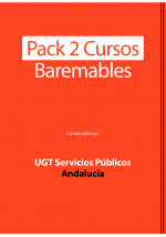 Pack 2 Cursos Baremables -...