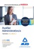 Auxiliar Administrativo/a