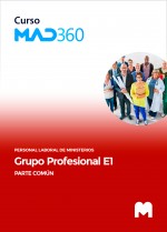 Acceso 12 meses Curso MAD360 Grupo Profesional E1