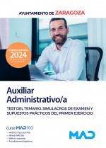 Auxiliar Administrativo/a