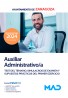 Auxiliar Administrativo/a