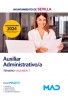 Auxiliar Administrativo/a