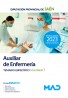 Auxiliar de Enfermería