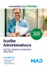 Auxiliar Administrativo/a