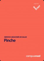 Curso MADTEST Pinche