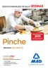 Pinche
