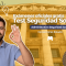 test seguridad social por títulos