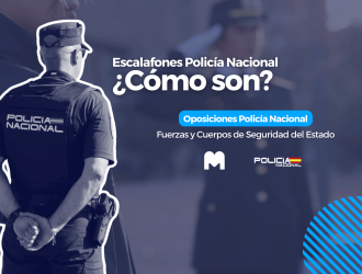 divisas policia nacional