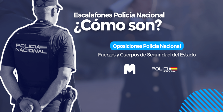 divisas policia nacional