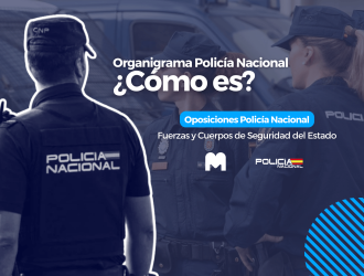 organigrama cnp