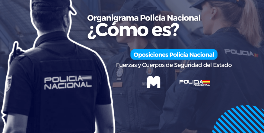 organigrama cnp