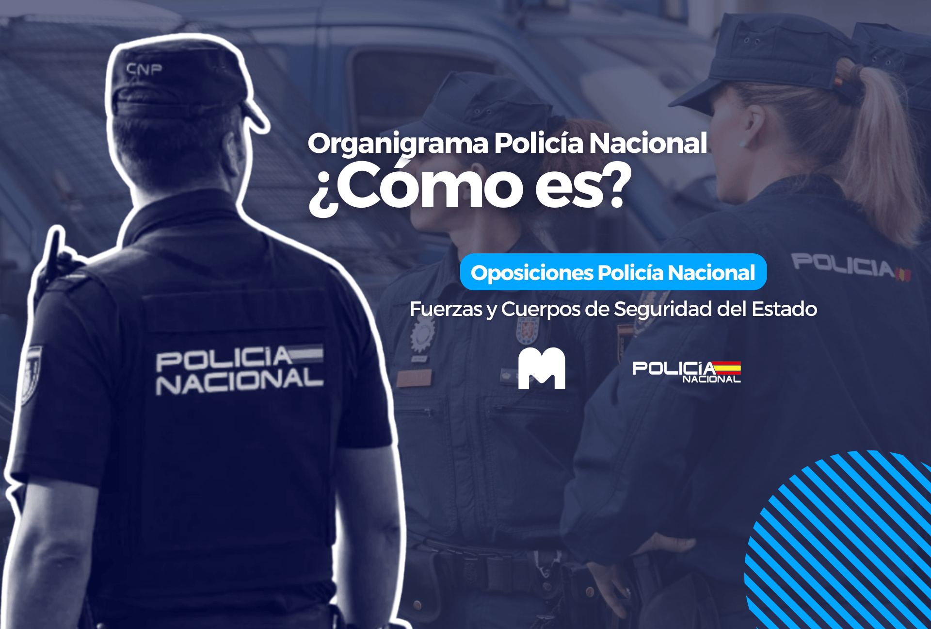 organigrama cnp