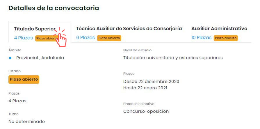detalles-convocatoria