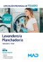 Lavandero/a-Planchador/a