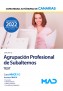 Agrupación Profesional de Subalternos (Grupo E)