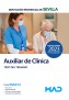 Auxiliar de Clínica