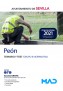 Peón